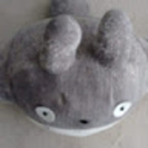 Meet your Posher, Ann